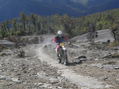 SDC10064