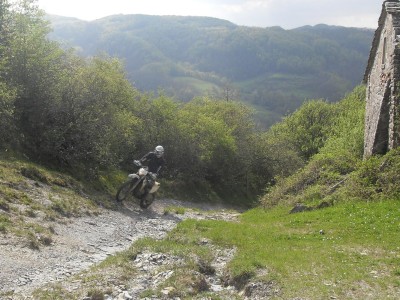 SDC15739
